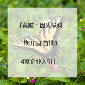 黄陂：因大联科一期开园 首批14家企业入驻
