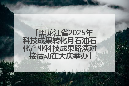黑龙江省2025年科技成果转化月石油石化产业科技成果路演对接活动在大庆举办