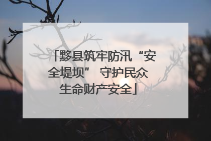黟县筑牢防汛“安全堤坝” 守护民众生命财产安全