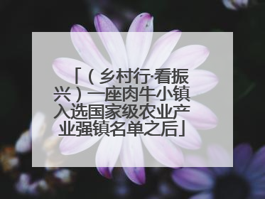 （乡村行·看振兴）一座肉牛小镇入选国家级农业产业强镇名单之后