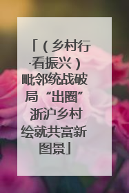 （乡村行·看振兴）毗邻统战破局“出圈” 浙沪乡村绘就共富新图景