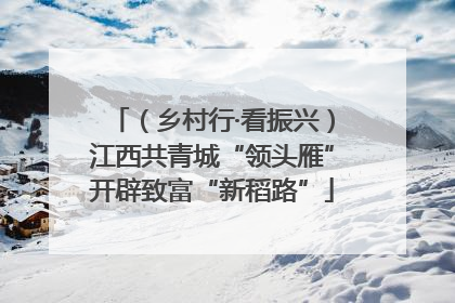 （乡村行·看振兴）江西共青城“领头雁”开辟致富“新稻路”
