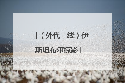 （外代一线）伊斯坦布尔掠影