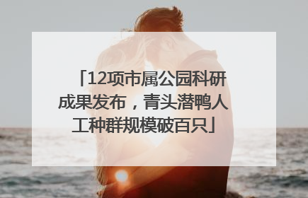 12项市属公园科研成果发布，青头潜鸭人工种群规模破百只