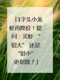 1字头小龙虾再降价！提问：买虾 “钳大” 还是 “钳小” 更划算？