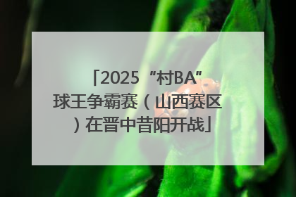 2025“村BA”球王争霸赛（山西赛区）在晋中昔阳开战