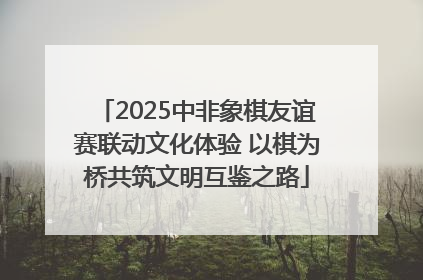 2025中非象棋友谊赛联动文化体验 以棋为桥共筑文明互鉴之路