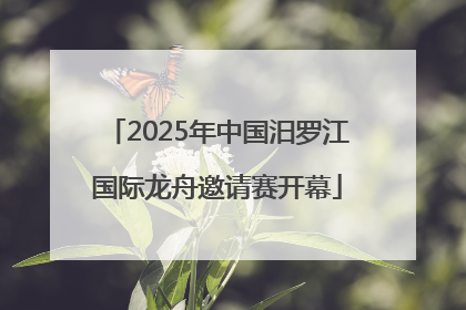 2025年中国汨罗江国际龙舟邀请赛开幕