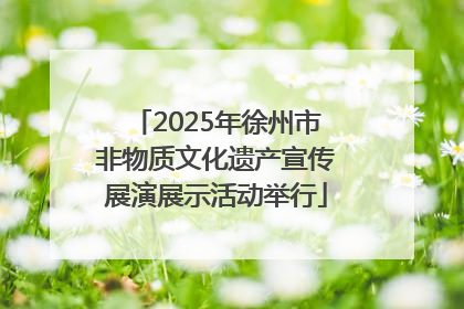 2025年徐州市非物质文化遗产宣传展演展示活动举行