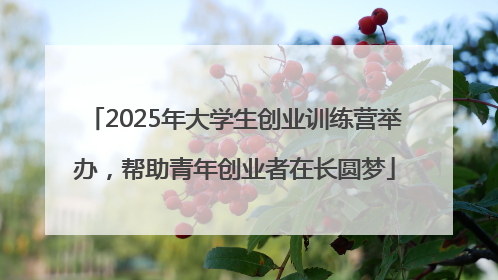 2025年大学生创业训练营举办，帮助青年创业者在长圆梦