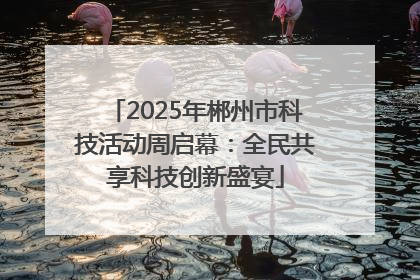 2025年郴州市科技活动周启幕：全民共享科技创新盛宴