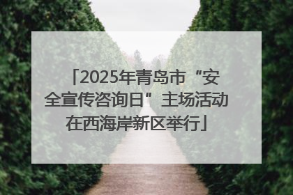 2025年青岛市“安全宣传咨询日”主场活动在西海岸新区举行