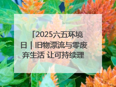 2025六五环境日｜旧物漂流与零废弃生活 让可持续理念走进山西社区
