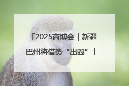 2025商博会｜新疆巴州将借势“出圈”