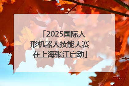 2025国际人形机器人技能大赛在上海张江启动