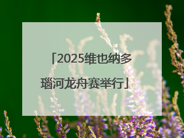 2025维也纳多瑙河龙舟赛举行