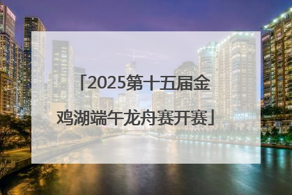 2025第十五届金鸡湖端午龙舟赛开赛