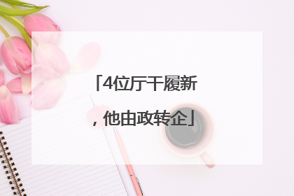 4位厅干履新，他由政转企