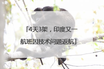 4天3架，印度又一航班因技术问题返航