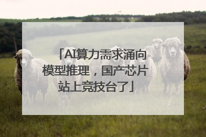 AI算力需求涌向模型推理，国产芯片站上竞技台了