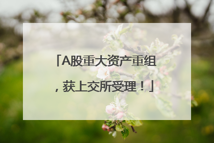 A股重大资产重组，获上交所受理！