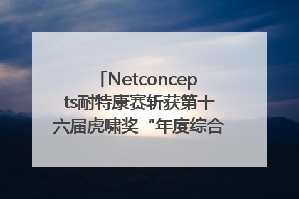 Netconcepts耐特康赛斩获第十六届虎啸奖“年度综合服务商”大奖