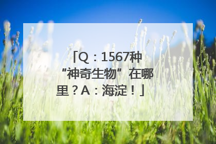 Q：1567种“神奇生物”在哪里？A：海淀！